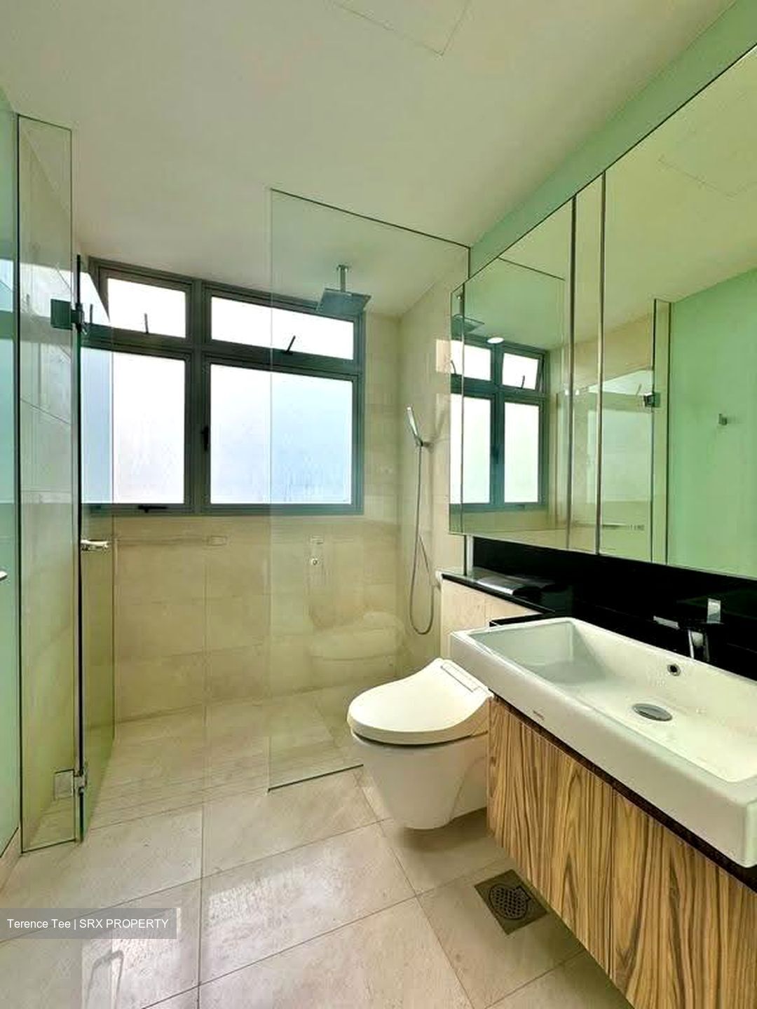 Suites @ Newton (D11), Apartment #627029551